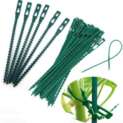 50pcs Adjustable Plastic Plant Cable Ties Reusable Fishbone Band Tools Greenhouse Grow Kits for Garden Tree Climbing Support