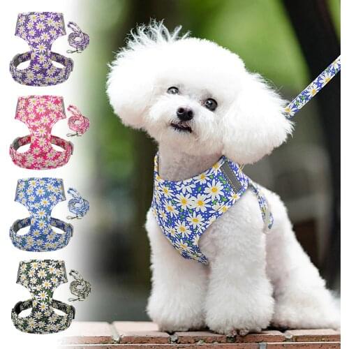 Nylon Printed Mesh Pet Dog Harness No Pull Small Puppy Cat Harness Leash Set For Chihuahua Yorkshire Soft Padded Reflective Vest
