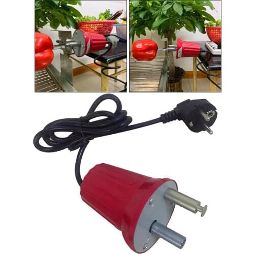 Barbecue Oven Motor 220-240V Oven AC Rotisserie Rotating Motor BBQ Parts, EU Plug