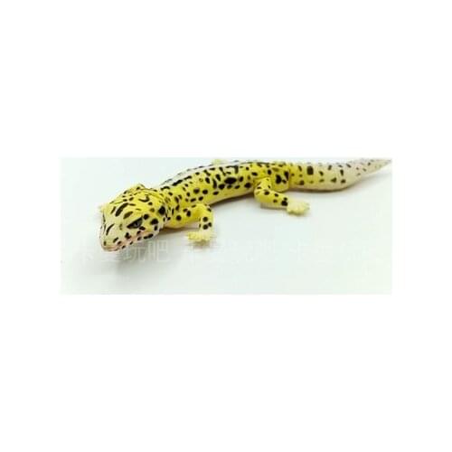Small pvc figure toy model lizard