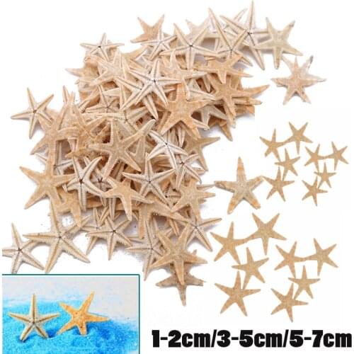 50/100PCS Natural Starfish Seashell Beach Craft Natural Sea Stars DIY Beach Wedding Decoration Crafts Home Decor Epoxy 1-2cm