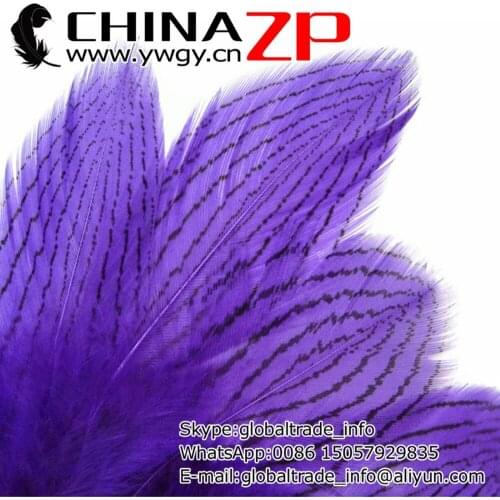 Leading Supplier CHINAZP Factory 500pcs/lot 8~10cm Length Hot Sale Purple Dyed Silver Pheasant Body Plumage Feathers