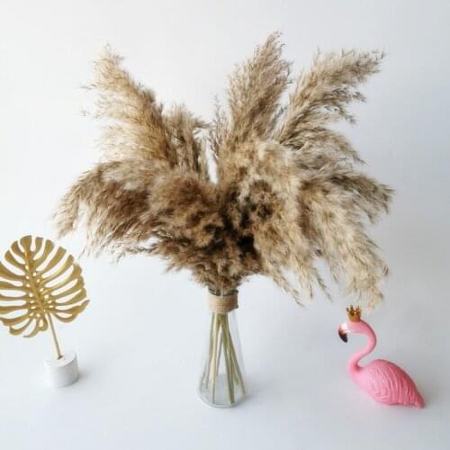 Natural Dried Flower 10pcs Pampas Grass Decor Phragmites Brown Bouquet Flower Arrangement Wedding Party Supplies Home Decoration