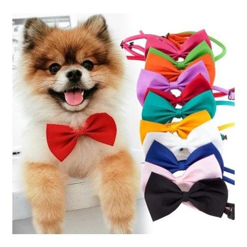 Pet Dog Cat Necklace Adjustable Strap for Cat Collar Dogs Accessories pet dog bow tie puppy bow ties dog Pet supplies(Color ran)