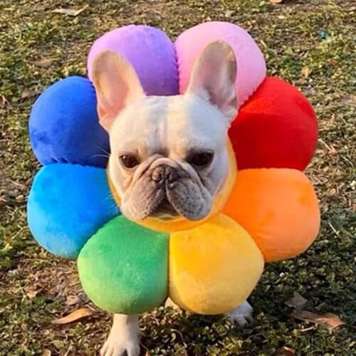 Sun Flower Pet Adjustable Recovery Collar Elizabethan Circle Protective Pet Cone Wound Healing Protective Soft Edge Pets