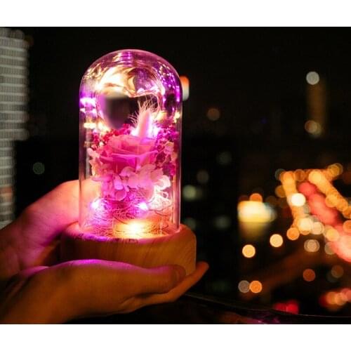 A Wish Streamer Bottle Bluetooth Audio Desk Lamp Eternal Life Flower Usb Charge Bedside Small Night-light Meteor Garden Gift