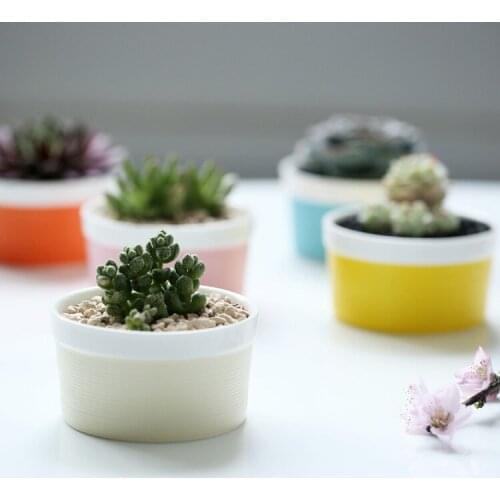 Garden supplies colorful basic small garden flower pots planters ceramic desktop office home decorative flower green plant pts