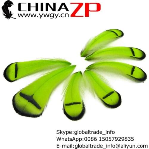 Exporting from CHINAZP Factory 100pcs/lot Good Quality Dyed Lime Green Lady Amherst Pheasant Tippet Feather