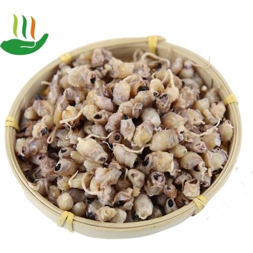 Squid Mouth, Cuttlefish Mouth, Eye Fish Mouth, Cooking Ingredients, Dried Seafood