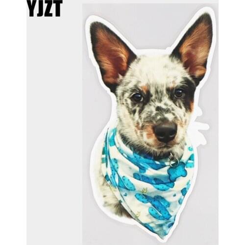 YJZT 10×18.4CM Cute Australian Bulldog Art Body Decoration Stickers Fashion Car Accessories Decal 21A-0198