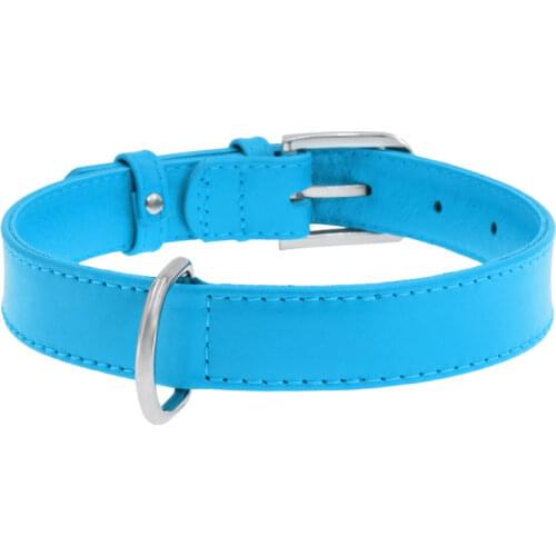 COLLAR Collars, Harnesses And Leashes