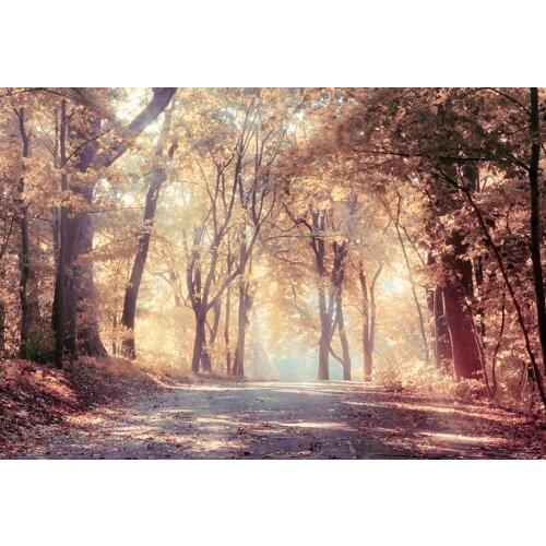 Forest scenery funds photography background vinyl fotografia fairy tale photo backdrops for photo studio props photophone lv-799