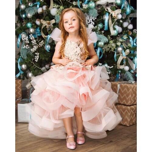 New Girls Birthday Party Gown Performance Banquet Dress Flower Girl Dress Pageant Dress Photography