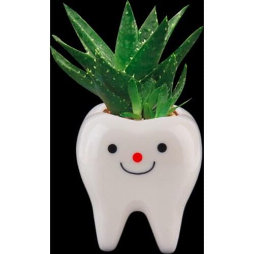 2017 Bonsai Plants Ceramic Flower Pot DIY Small Succulent Planter Tooth Design 7*6*6cm