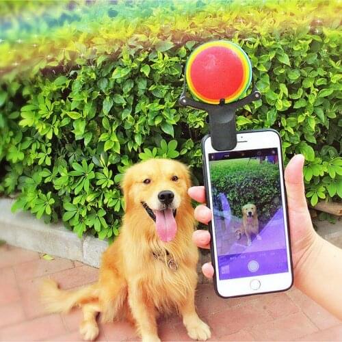 New Upgraded Black Selfie For Dog Selfie Attachment Ball Pets Dog Iphone Pet Selfie Stick Clip Fanny Slingshot Dog-selfie-stick