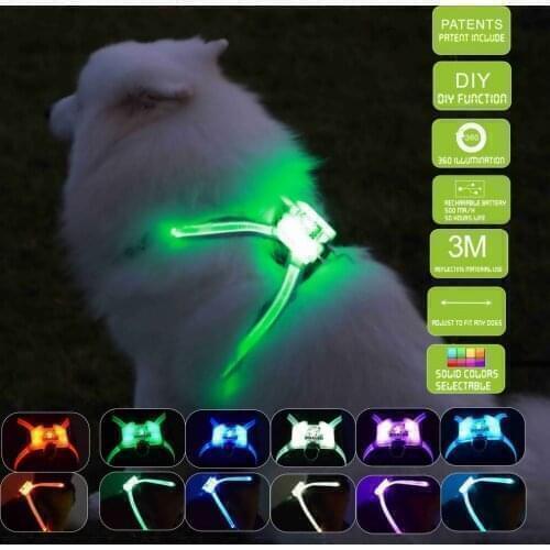 CC Simon hot selling led flashing dog harness pet harness usb rechargeable