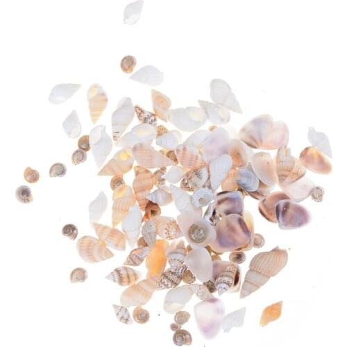 40Pcs/bag 1:12 Mini Miniature Doll House Sea Shell Bonsai Lanscape DIY Decor Dolls Garden Accessories