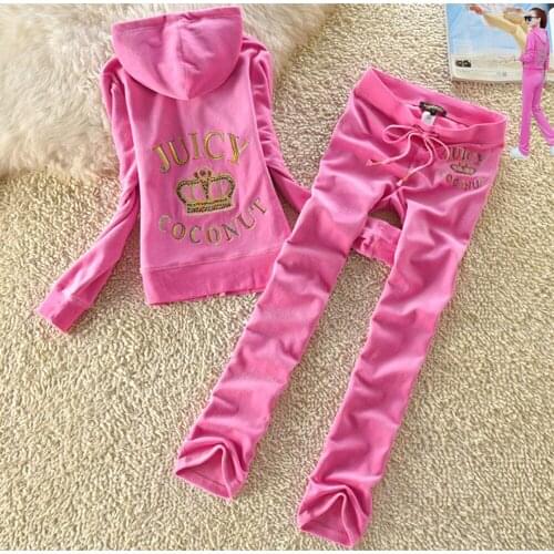 2 Pieces Set Women Velour Tracksuit Hooded Sweater + Straight Pants Set CHIC Velet Outwear S-2XL