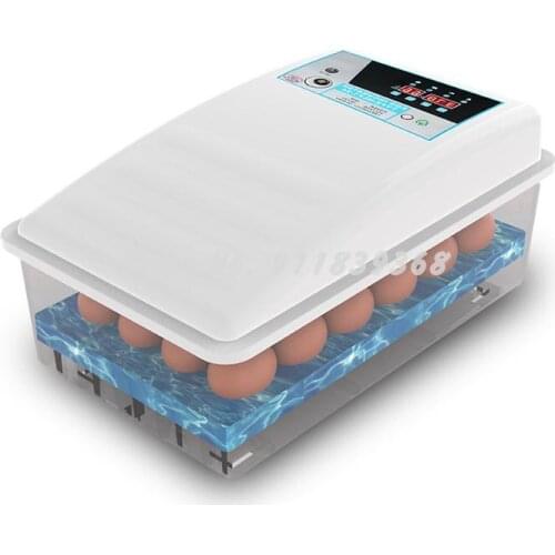 Incubator Household Incubator Water Bed Incubator Intelligent Mini Incubator Chicken And Duck Egg Incubator