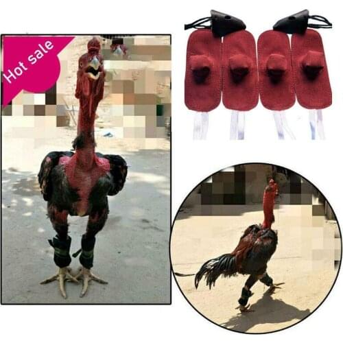4pcs Rooster Cocks Mitt Para Gallos Hen Helmet Fighting Protection Farm Animals Chicken Coop Supplies Accessories
