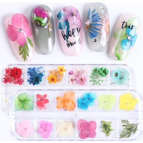 Mixed Dried Flowers Nail Art Decorations DIY Natural Dry Floral Nail Supplies For Professionals Manicure Nail Decor Designer
