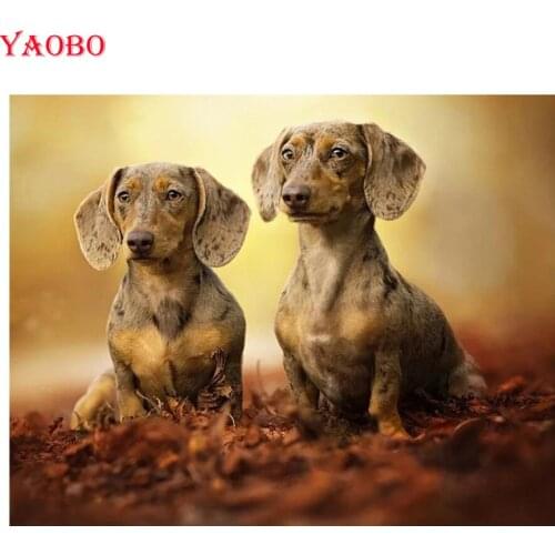 Full Square Round 5D DIY Diamond Painting Cross Stitch Professor Dachshund Patterns bead Embroidery Diamond Mosaic Home Decor