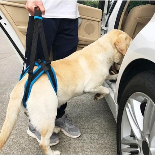 A Dog Lift Harness for Back Legs Pet Support Sling Help Weak Legs Stand Up Pet Old Dogs Leash Aid Assist Tool S-XL