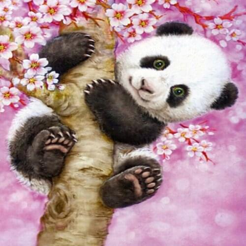 ZhuiStar Climbing And Mountaineering Products