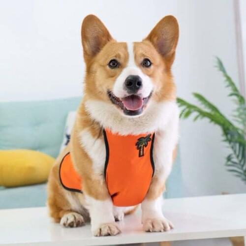 Fashion Dog Corgi Apron Protect Tummy Waterproof Pet Clothes Small Medium Short Leg Dogs Clothing Pug Teddy French Bulldog CTC03