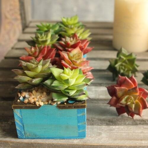 New Fake Plants Artificial Flowers Lotus Plants Succulent Grass Desert Artificial Plants Landscape Arrangement Garden Decor