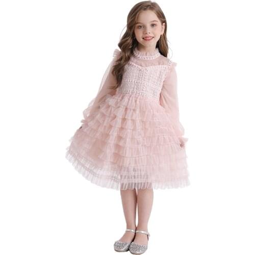 Kids Dresses For Girls Cake Outfits Party Dress Girl Mesh Embroidery Dress Long Sleeve Casual Clothes Girls Lace Dress Vestido