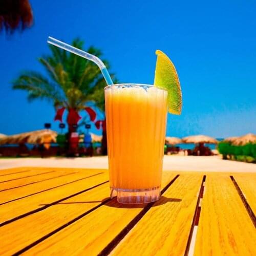 500Pcs Transparent Flexible Drinking Straws Individual Package Disposable Plastic Straws Party Fancy Straws 10.2Inch