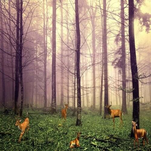 Dropshipping Colomac Forest Wallpaper Green Woods Landscape Wallpapers for Bed Room Wall Wallpaper Living Room Papel Mural 3d