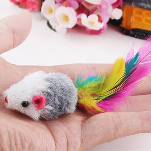 QINGWANG Accessories For Cats