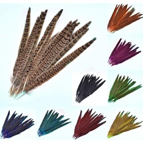 20Pcs Natural Pheasant Tail Feathers For Crafts Party Decorations plumas 10-12inch Dyed Feathers DIY home Headwear Accessories