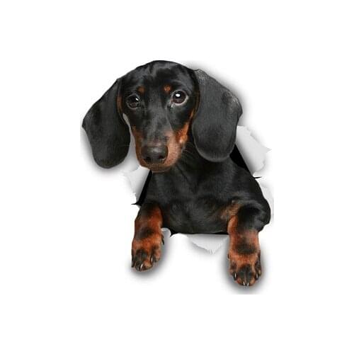 Funny Dachshund Dog Labrador Retriever Husky Yorkie Beach Travel Shower Towel for Swimmer Surf Bath Spa Towels Puppy Pet Gifts