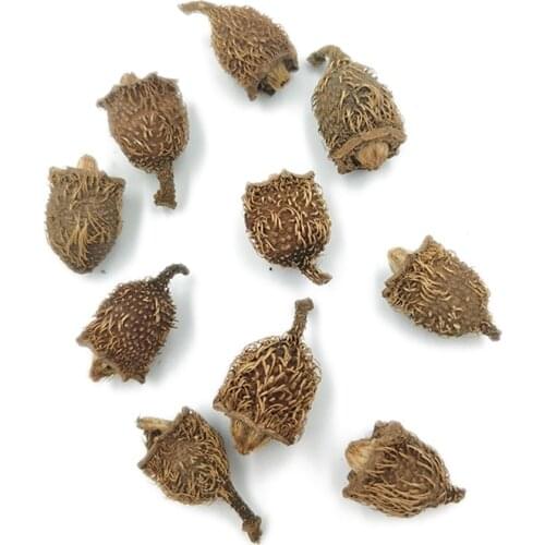 10pcs Natural Flower Decorative Fall Winter Holiday Home Decor Vase Filler, Christmas Tree Ornaments (about 2cm)