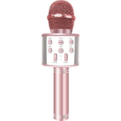 A-AODLIE Microphones