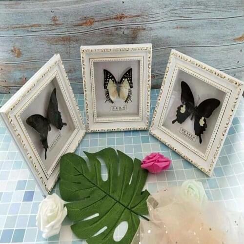 Butterfly Real Specimen butterfly specimen photo frame craft /Butterfly Specimen Artwork Material Decor