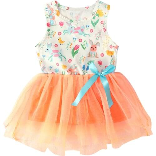 Girl Princess Dresses Flower Girl Clothes Floral Applique Party Mesh Dresses Summer Party Birthday Baptism Dress Cotton Children