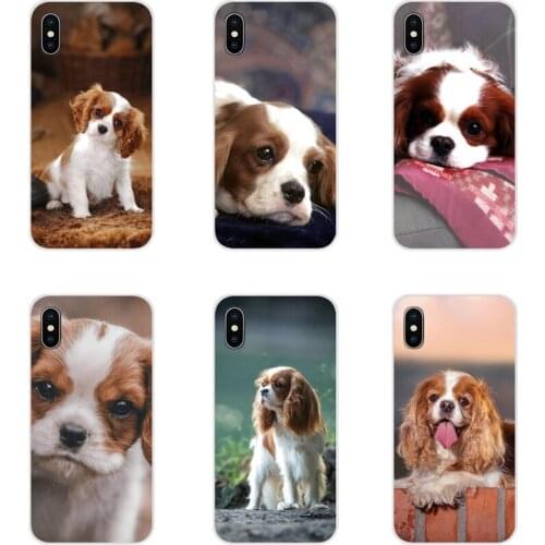 For Huawei Nova 2 3 2i 3i Y6 Y7 Y9 Prime Pro GR3 GR5 2017 2018 2019 Y5II Y6II TPU Cases Covers Cavalier King Charles Spaniel dog