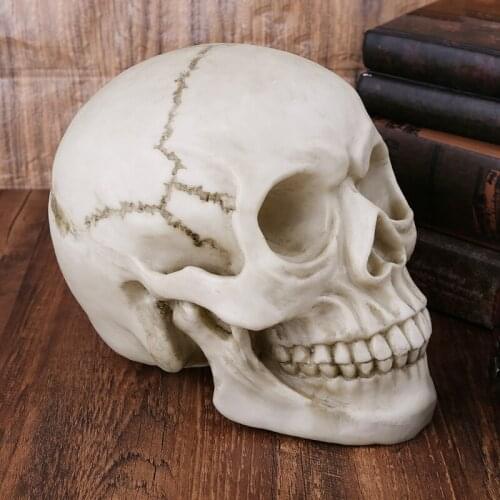 Resin Art Human Skull Replica Teaching Model Realistic 1:1 Adult Size