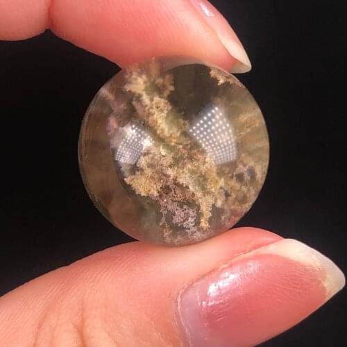 Unique!!!!Nature presents the formation of sunset forest, reiki healing beautiful process