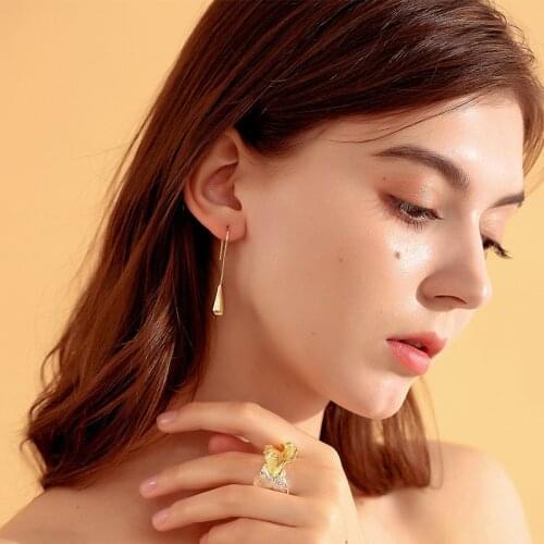 2020 summer new European and American ins wind drop-shaped alloy ear hooks net red simple and versatile temperament earrings