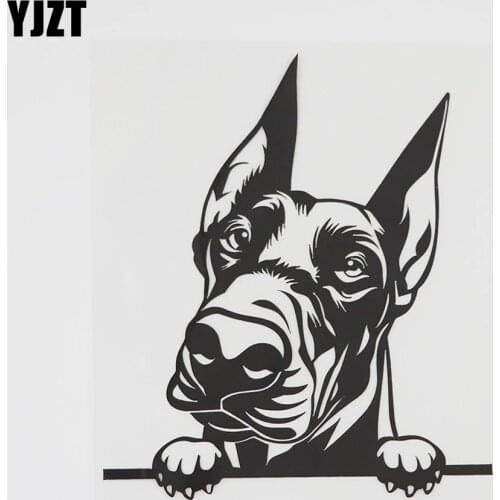 YJZT 13.2CMX15.5CM Doberman Decal Peeking Dog Peek a Boo Vinyl Car Sticker Black/Silver 8A-0523