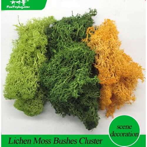 30G Lichen Moss cluster for bushes,model trees foliage scale model building material miniature tree model DIY layout dioramas