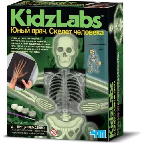 Пособия по биологии 4M China At AliExpress