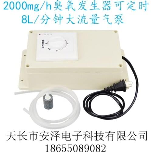 2000 Mg Mg/h Ozone Generator, 8L Large Flow Air Pump, Water Disinfection, Sterilization of Fruits, Vegetables and Food