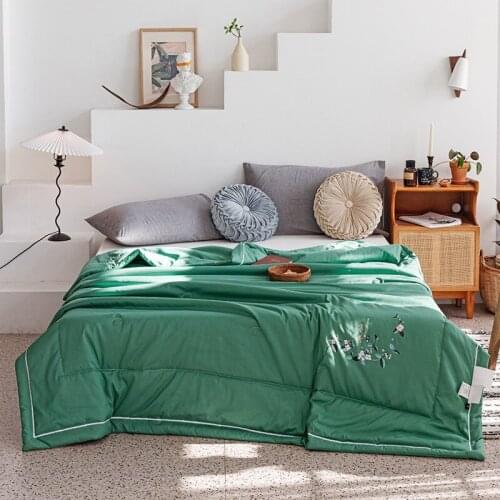 Modern Simple Soy Fiber Mint Summer Cool Quilt Thin Mosquito Repellent Air Conditioning Quilt Sofa Office Nap Quilt Quilted Bed