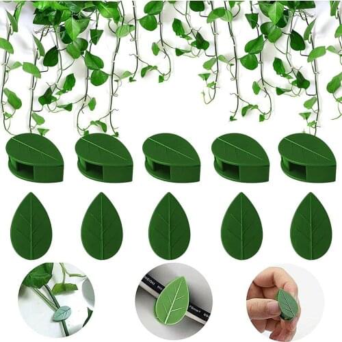 10pcs Plant Fixture Clip Plant Climbing Wall Self Adhesive Fastener Tied Fixture Vine Buckle Hook Garden Plant Wall Climbing